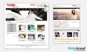 本草网站建设 打造中医药文化的数字化名片